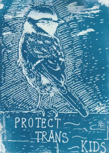 Cyanotype avec une mésange bleue pro trans