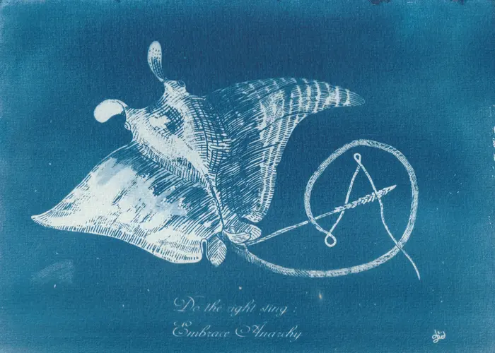 Cyanotype avec une raie anarchiste