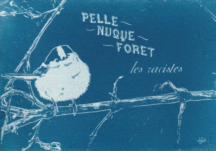 Cyanotype avec une orite anti raciste